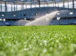 格拉纳达队,凌晨宣布解,雇莫雷诺,火狐体育HuoHu官网,HuoHu火狐娱乐,火狐体育投注,火狐体育平台,火狐赛事直播,火狐体育app下载