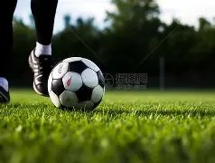 国乒混双战,胜德国队续,写四冠辉煌,火狐体育HuoHu官网,HuoHu火狐娱乐,火狐体育投注,火狐体育平台,火狐赛事直播,火狐体育app下载