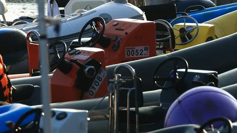 张本智和早田希娜神社祈福引瞩目，樊振东孙颖莎果断取消关注