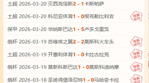 19岁新星梦幻之旅告终，与世界第一萨巴伦卡巅峰较量