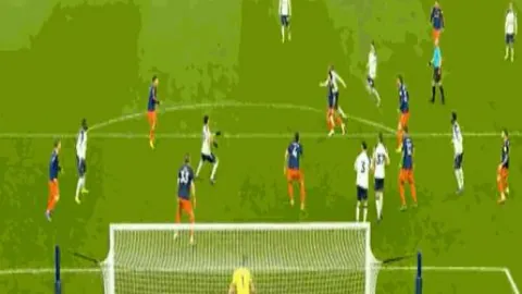 莱斯特队新帅范尼在望